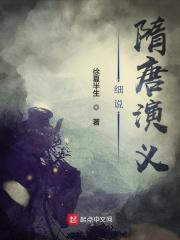 隋唐风云：护唐英豪